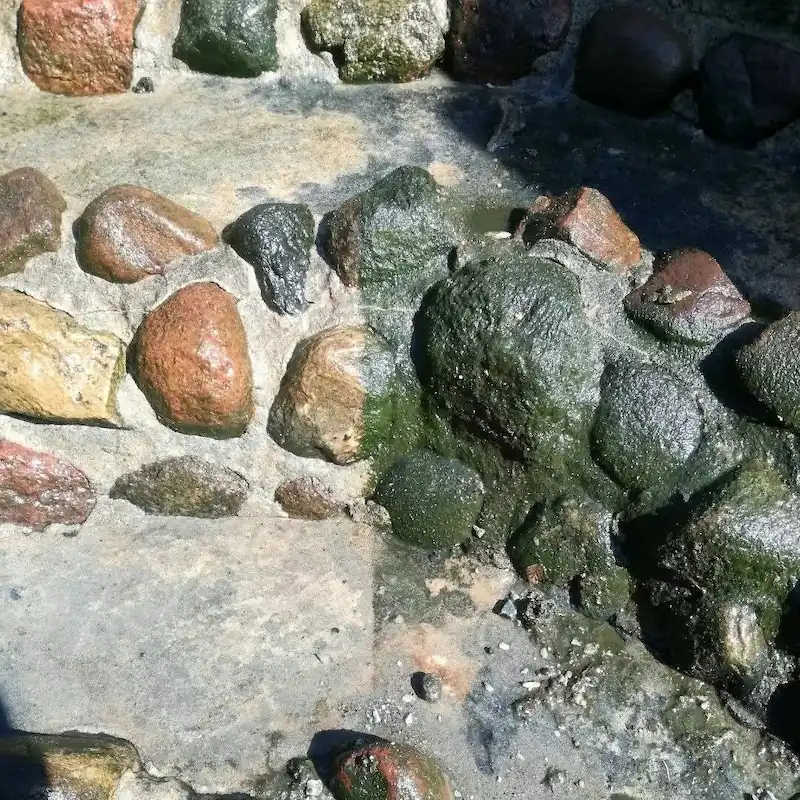 realizacje obrazek pondream