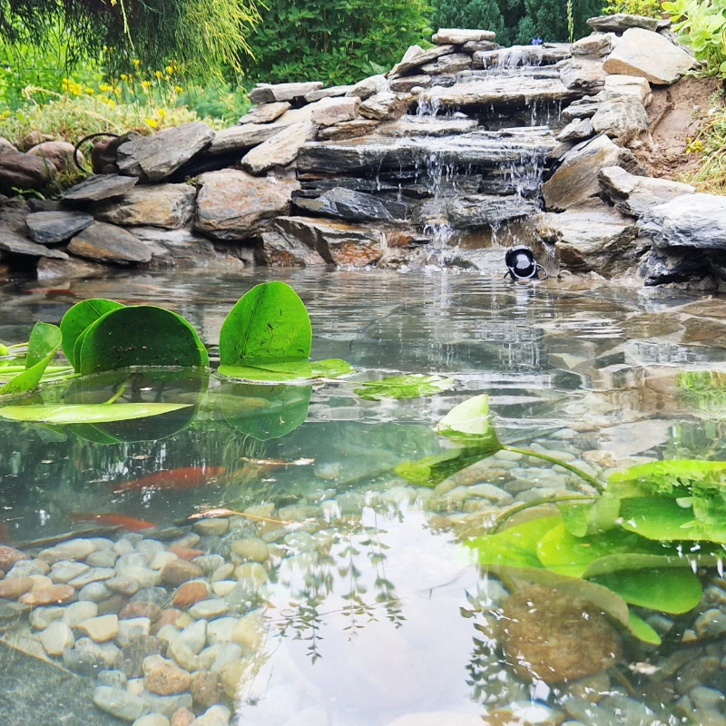 realizacje obrazek pondream